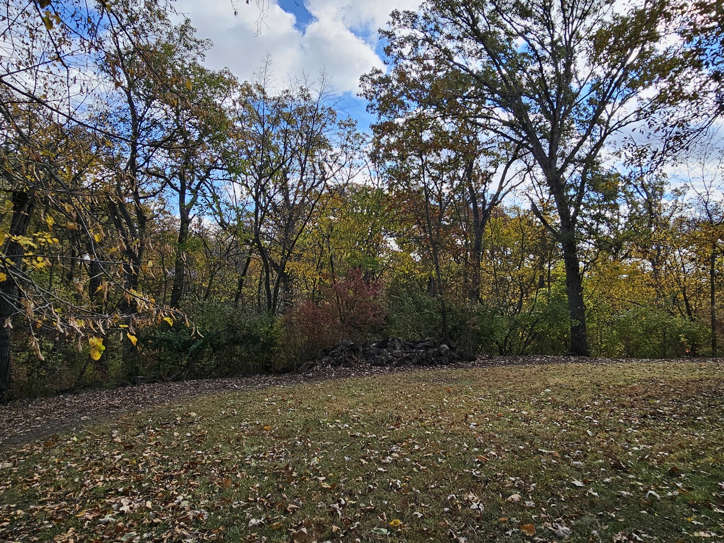 Property photo 39