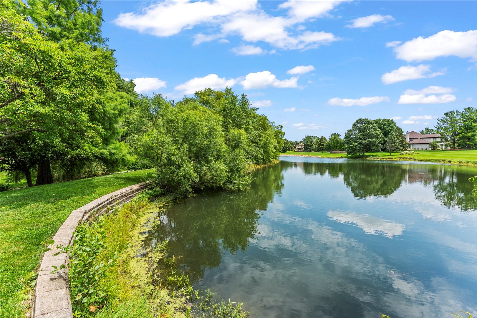 Property photo 64