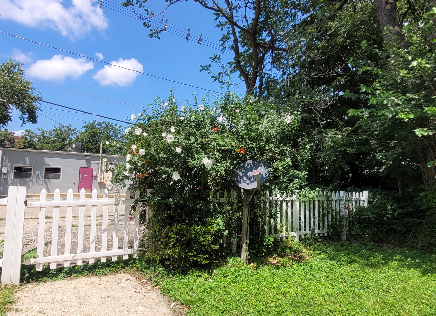 Property photo 39
