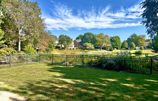 Property photo 103