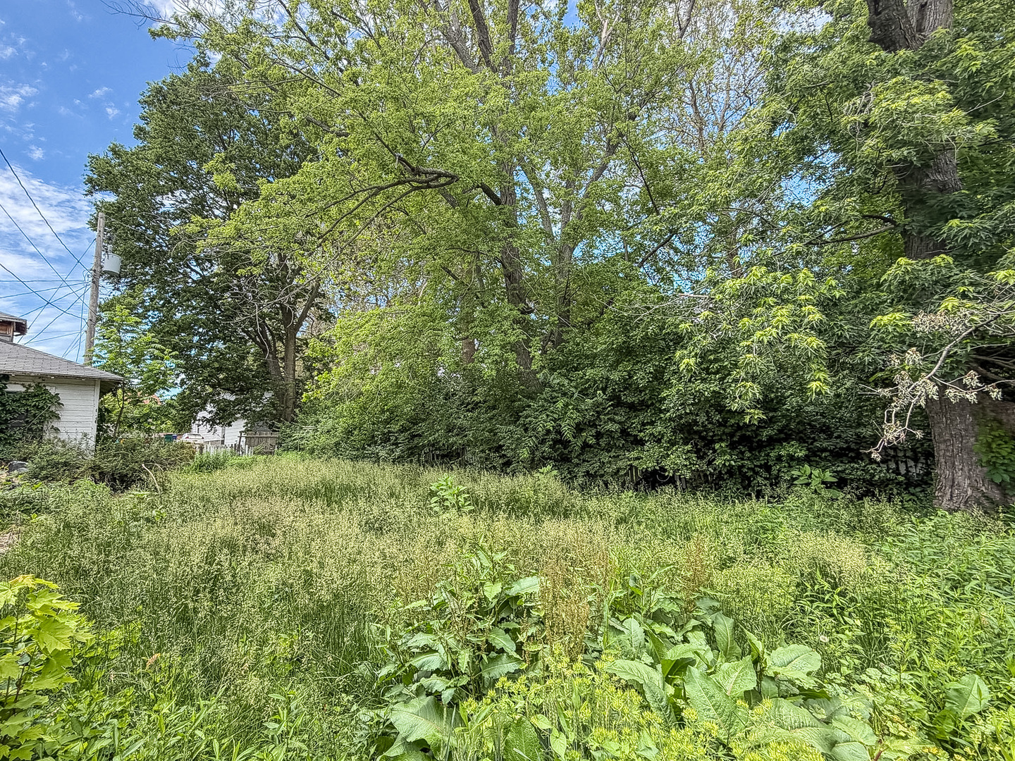 Property photo 25