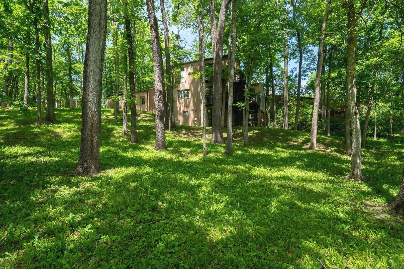 Property photo 71