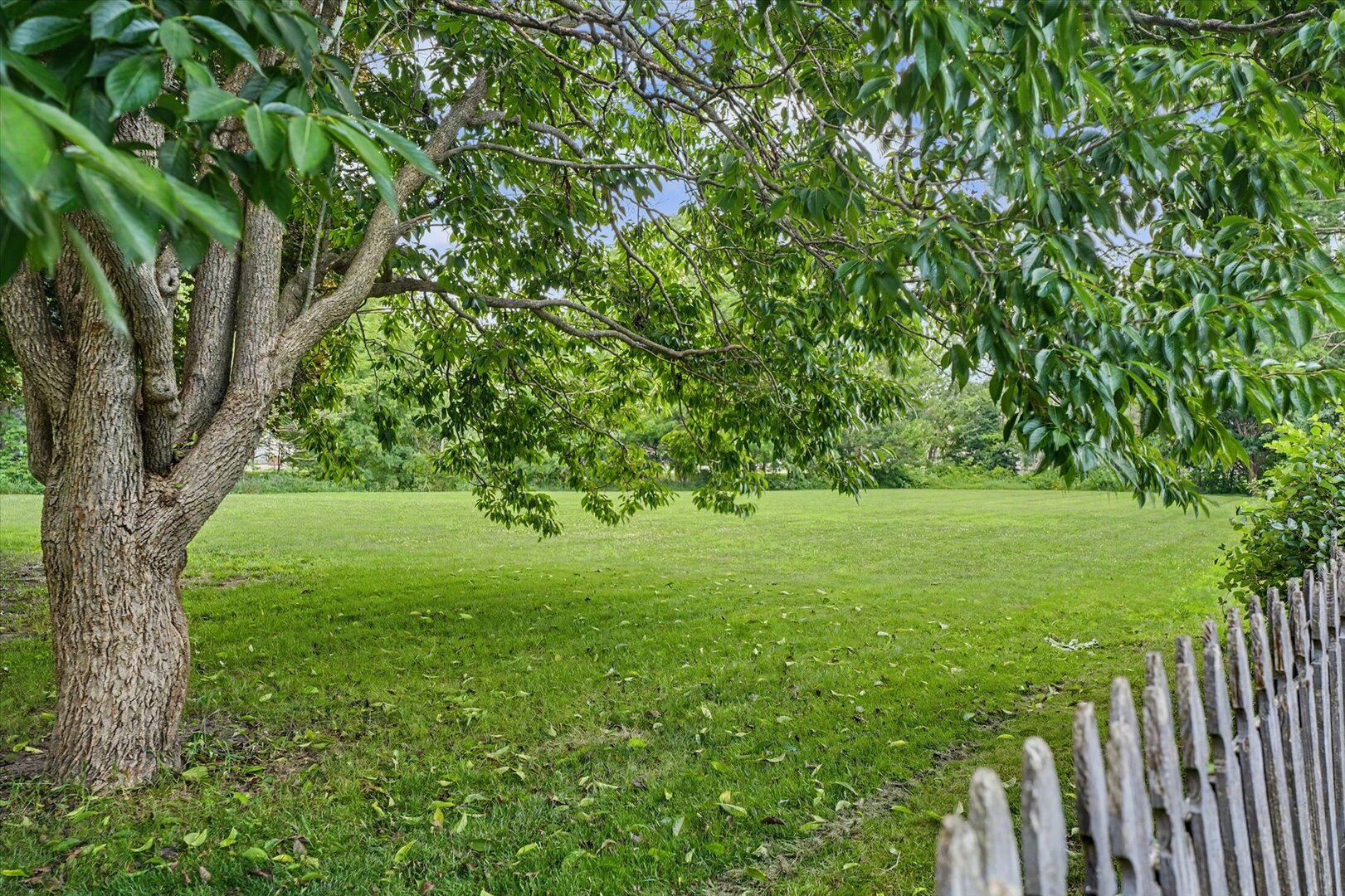 Property photo 40