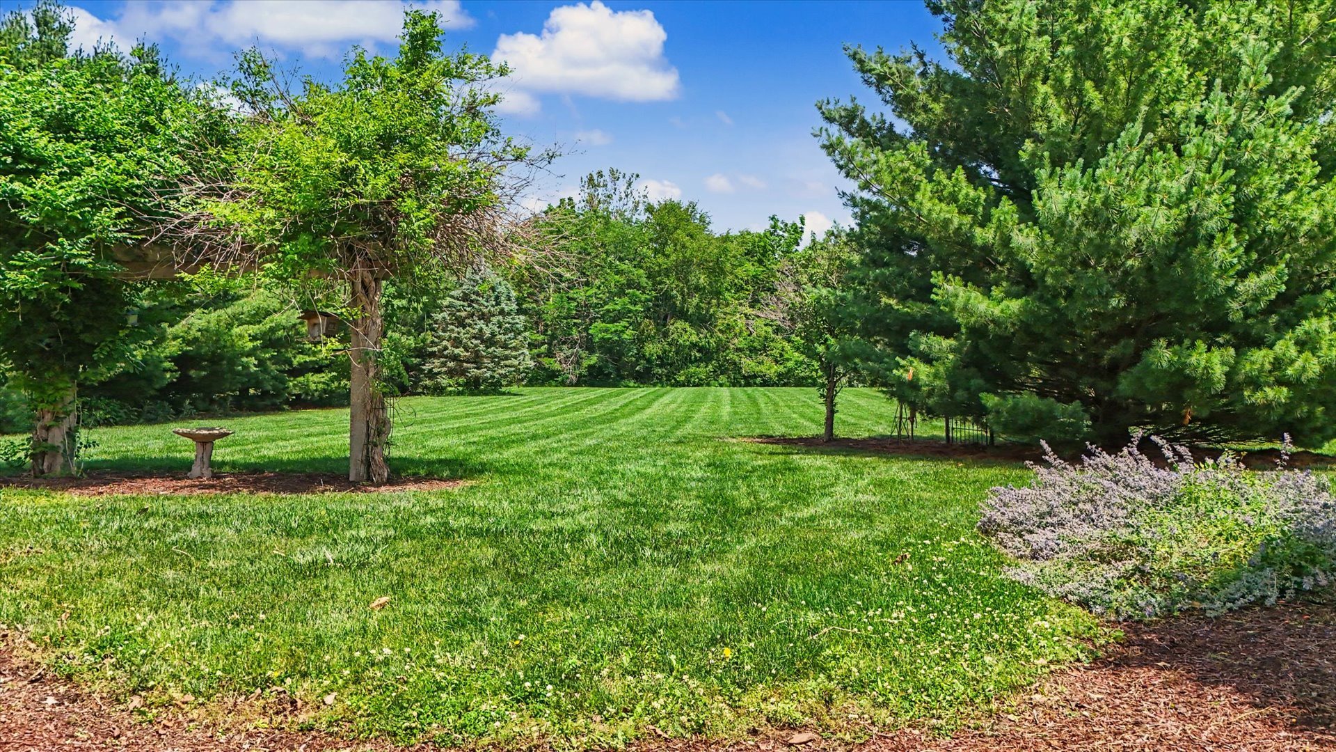 Property photo 53