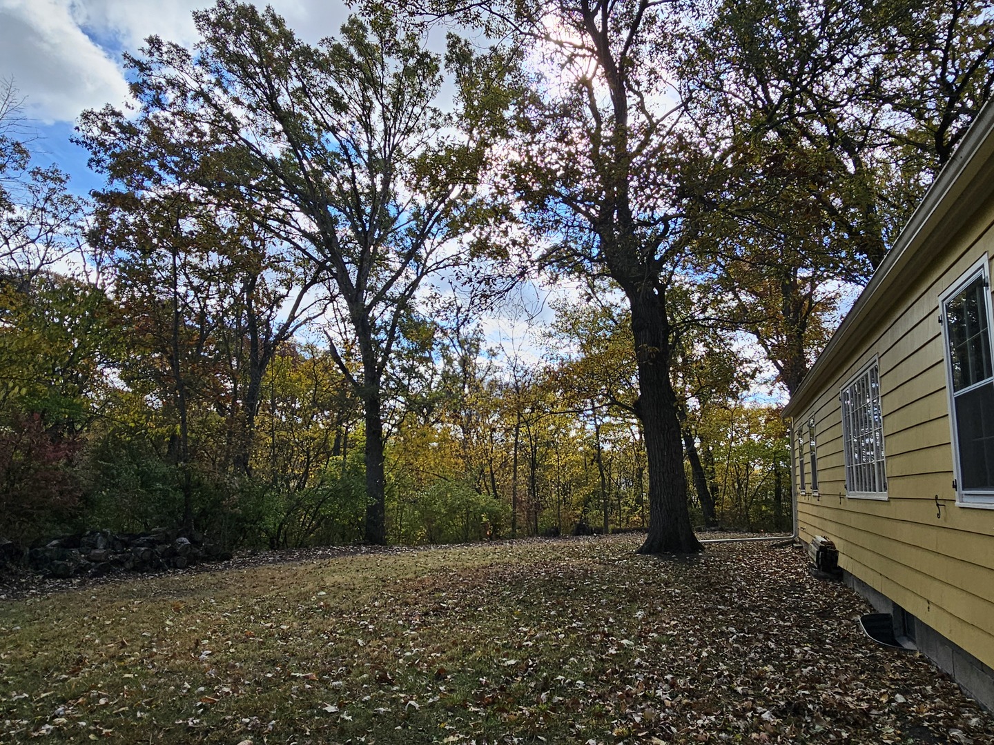 Property photo 38