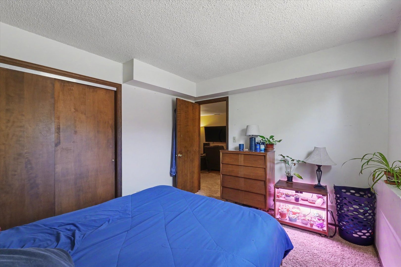 Lower Level Bedroom