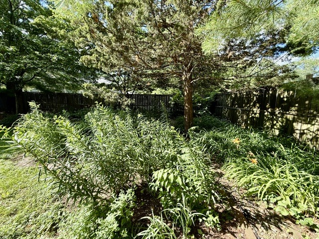 Property photo 54